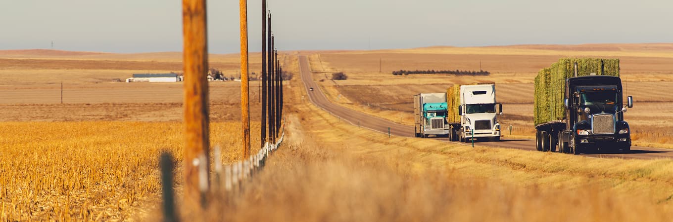 Road Background